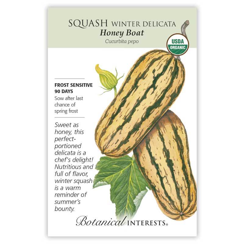 Squash, Botanical Interests Honey Boat Winter Delicata Seeds Organic
