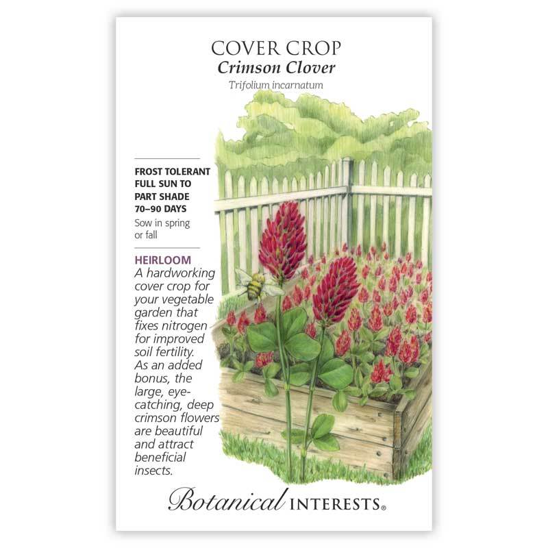 Cover Crop, Crimson Clover Heirloom Botanical Interests Seeds (LG)