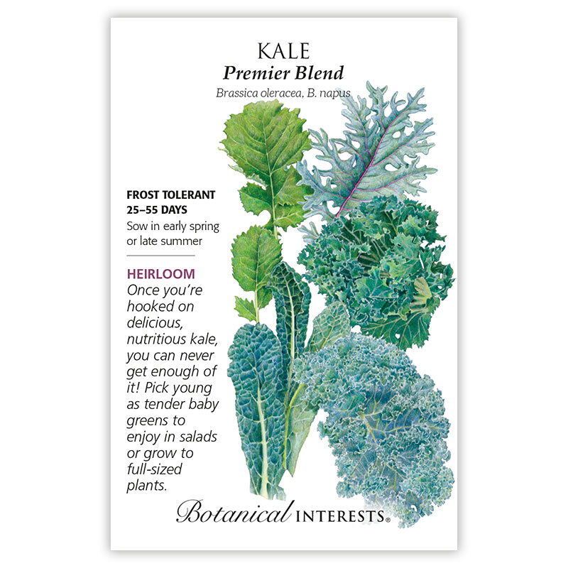 Kale, Botanical Interests Premier Blend Seeds (Heirloom)
