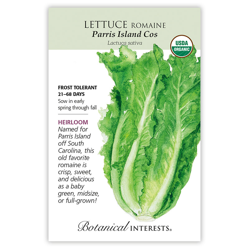 Lettuce, Romaine Parris Island Cos (Organic Heirloom) Botanical Interests Seeds (LG)