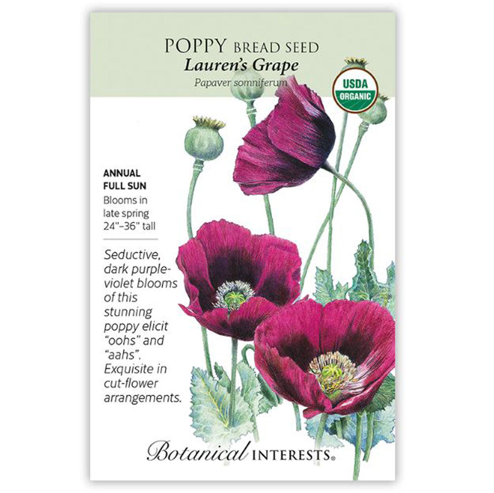 Botanical Interests, Poppy Lauren's Grape Organic