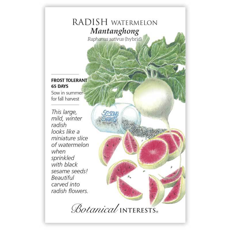 Radish, Watermelon Mantanghong Botanical Interests Seeds