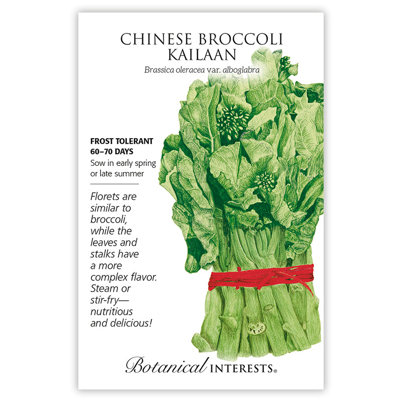Chinese Broccoli / Kailaan Botanical Interests Seeds