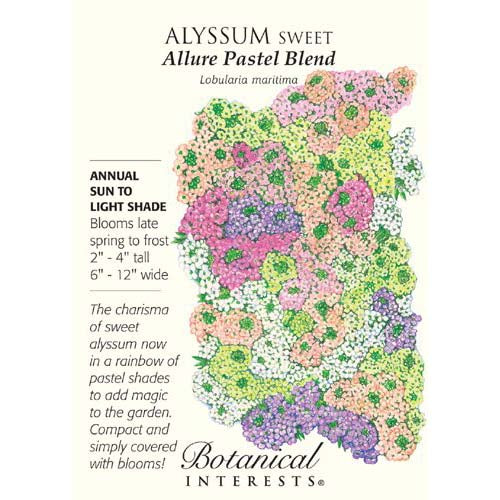 Sweet Alyssum-Pastel Botanical Interests Seeds