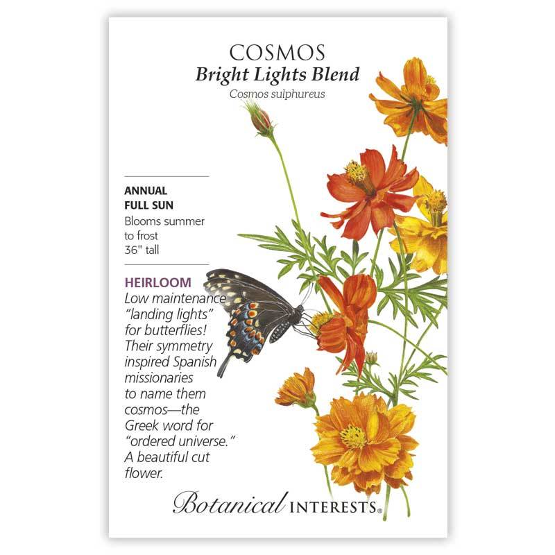 Cosmos, Botanical Interests Bright Lights Blend Seeds (Heirloom)