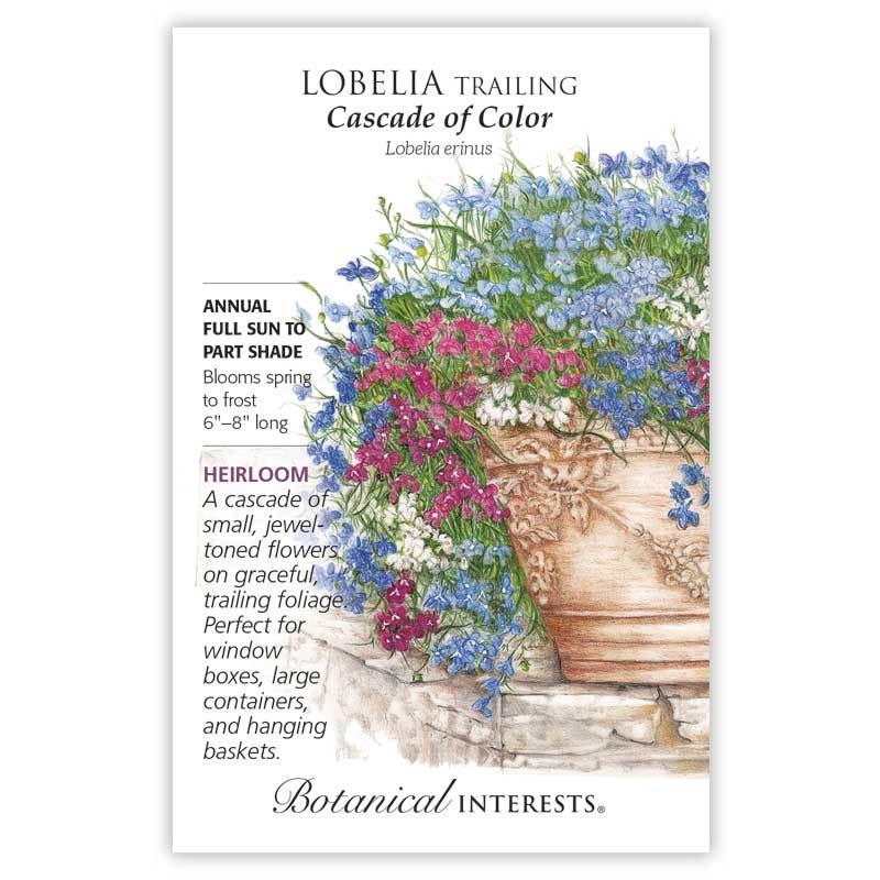 Lobelia, Botanical Interests Cascade of Color Trailing Seeds (Heirloom)