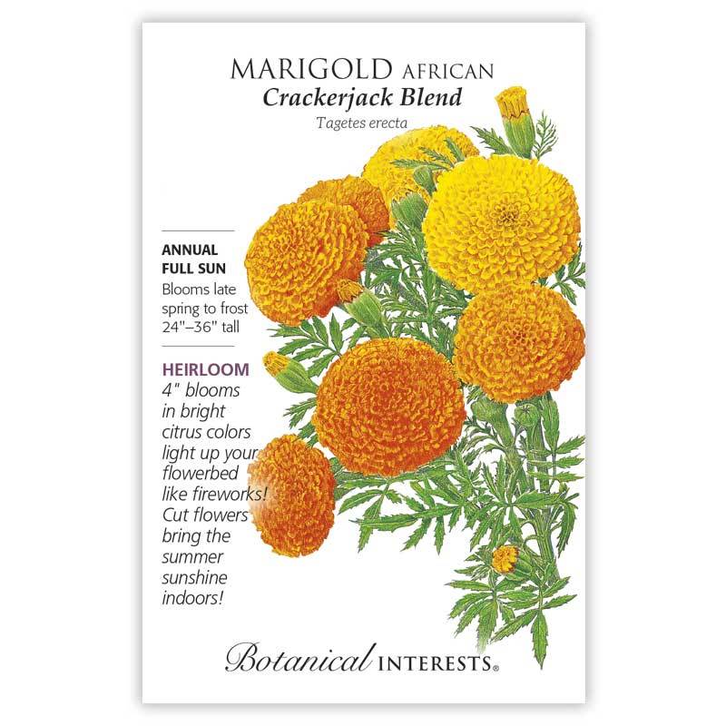 Marigold, African Crackerjack Botanical Interests Seeds
