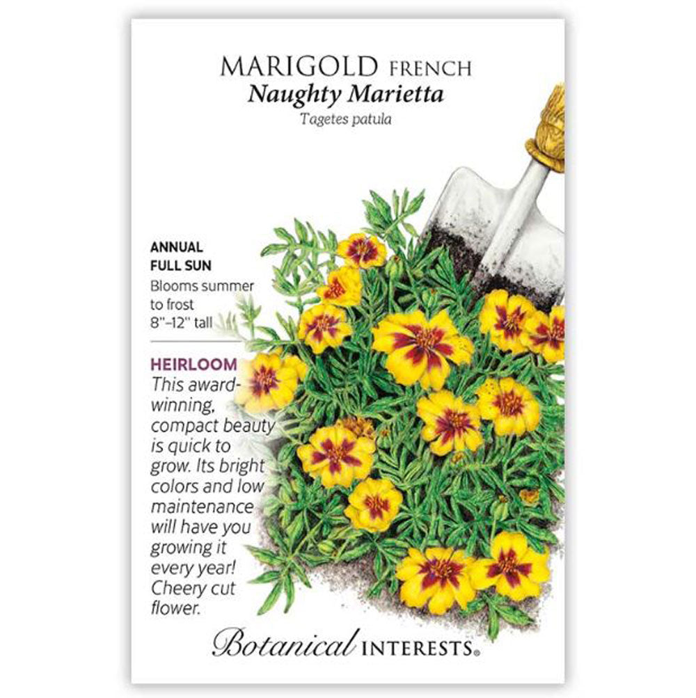 Botanical Interests, Marigold, French Naughty Marietta