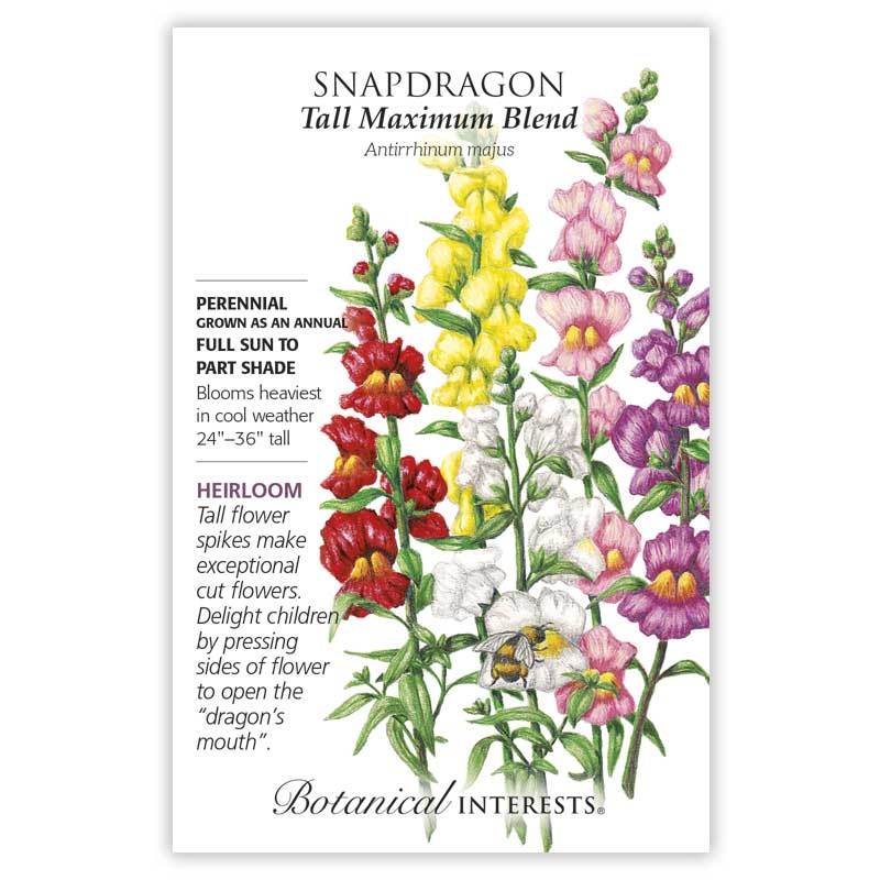 Snapdragon, Botanical InterestsTall Maximum Blend Seeds (Heirloom)