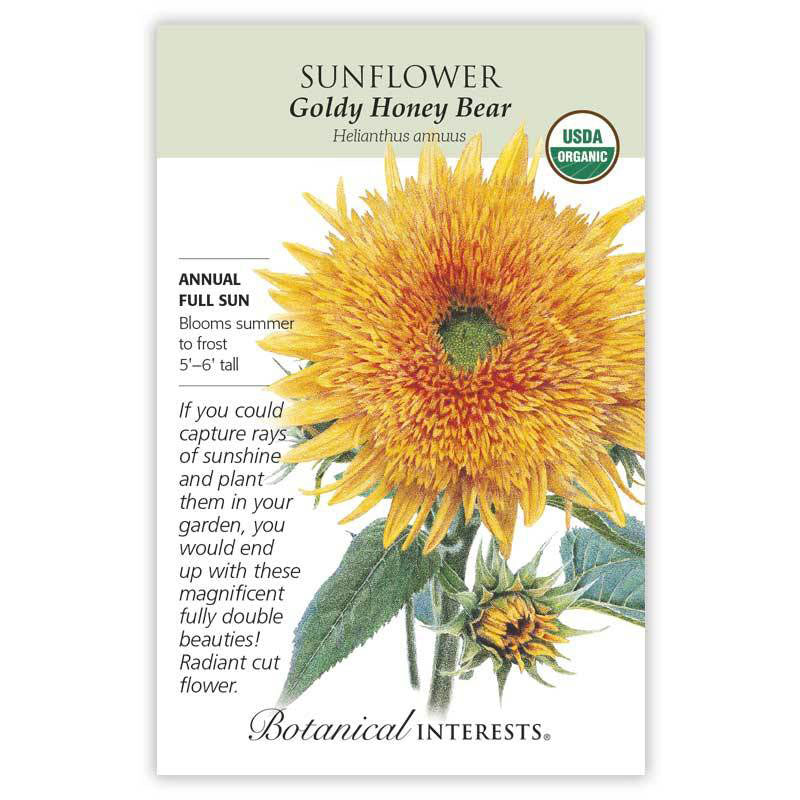 Sunflower, Goldy Honey Bear (Organic) Botanical Interests Seeds