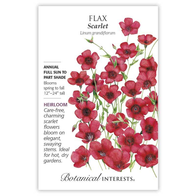 Flax, Botanical Interests Scarlet Heirloom Seeds (Heirloom)