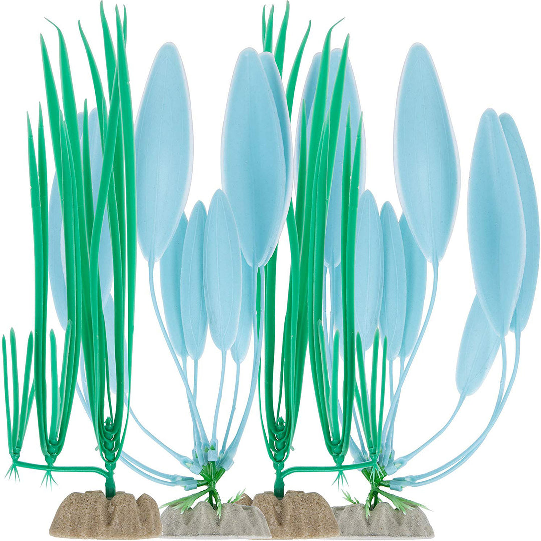 Tetra Wonderland Plant, 4-Pack