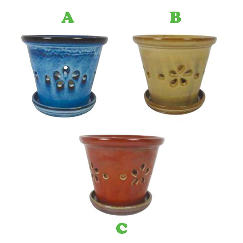 Border Concepts, Daisy Orchid Pot w/Saucer, 5.5", Assorted and Sold Separately