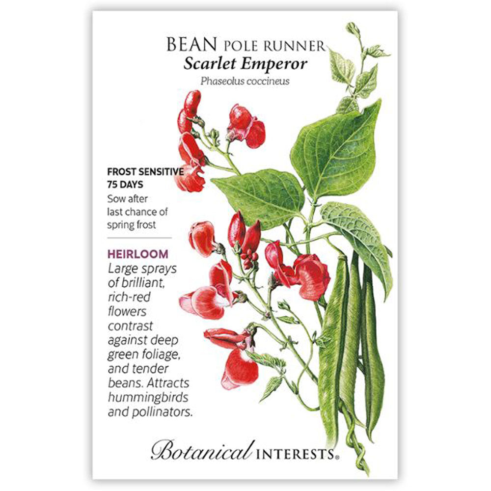 Botanical Interests, Bean Pole, Runner Scarlet Emperor