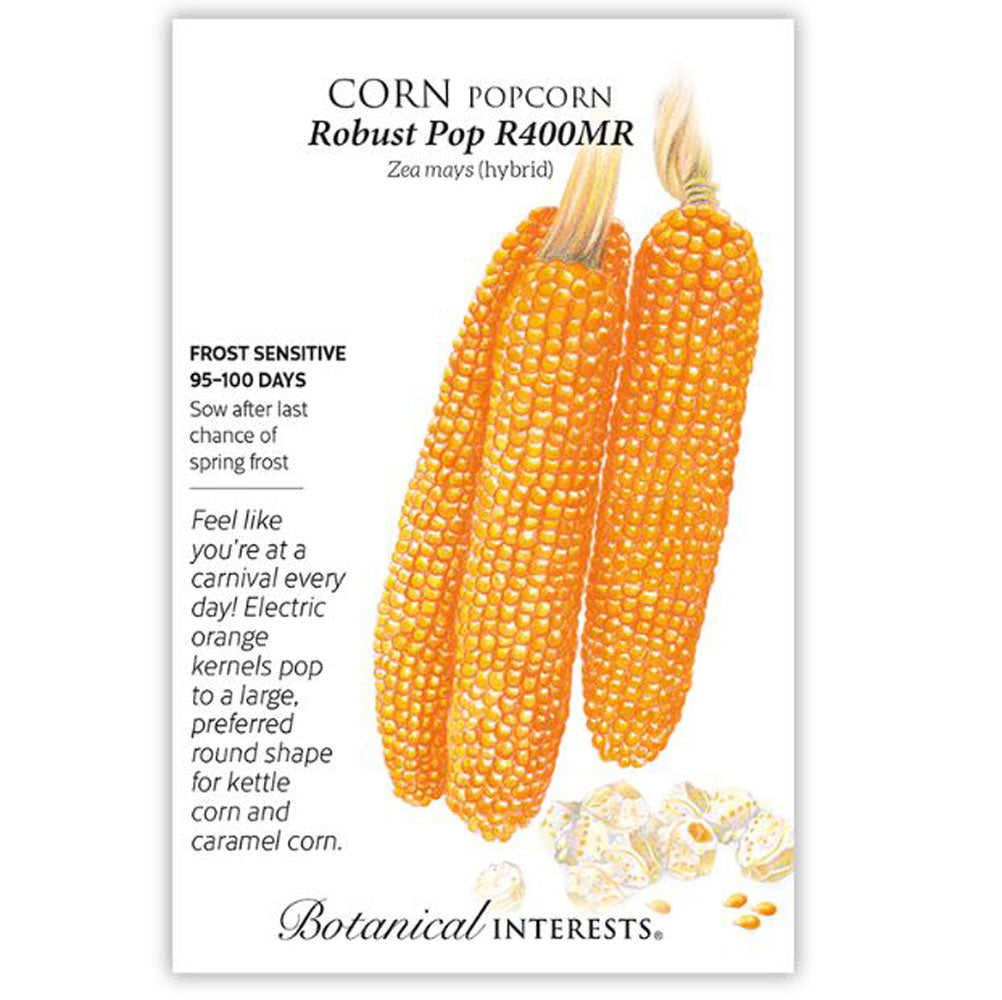 Botanical Interests, Corn, Popcorn Robust Pop, 400MR