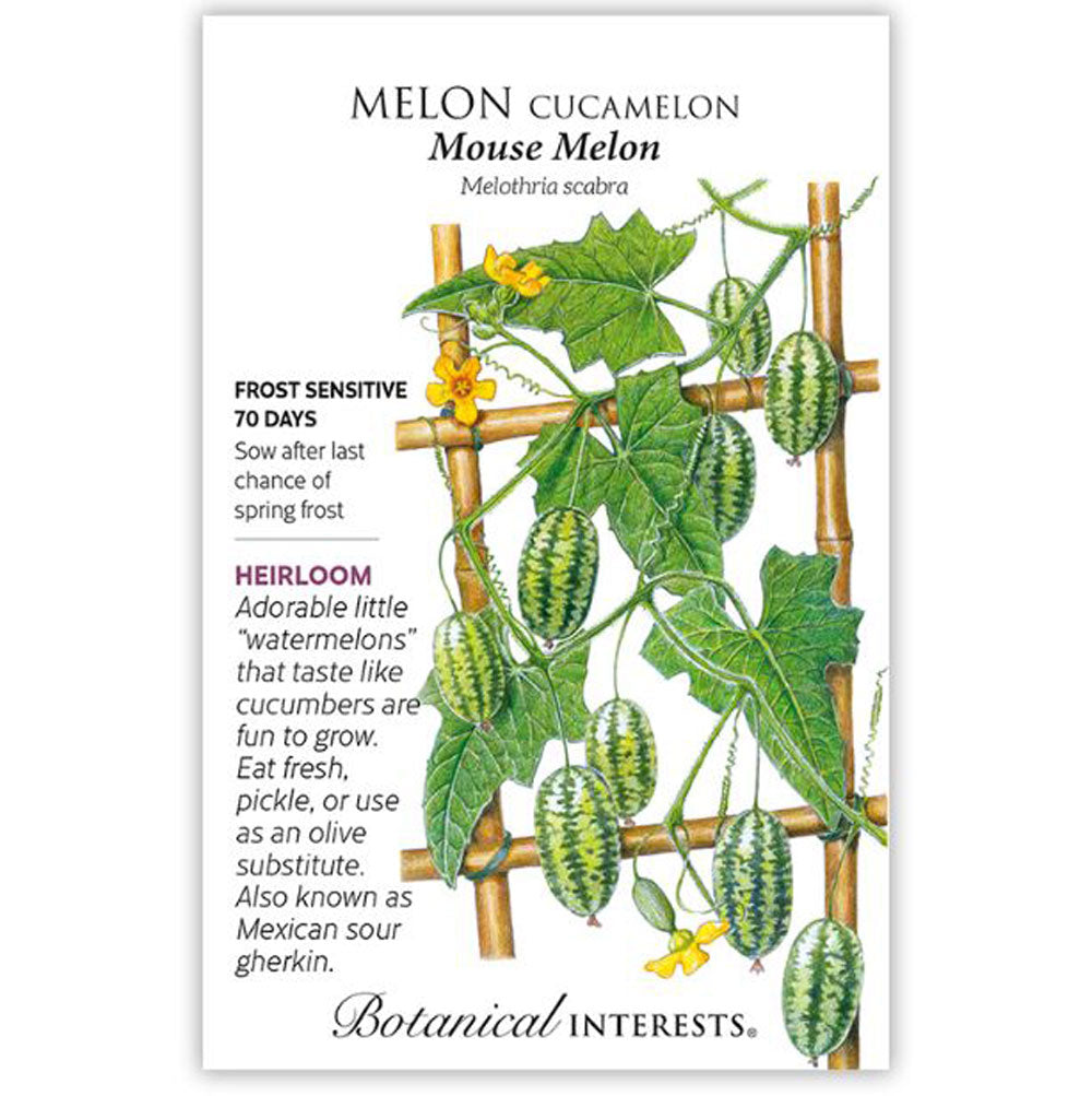 Botanical Interests, Melon, Cucamelon Mouse Melon