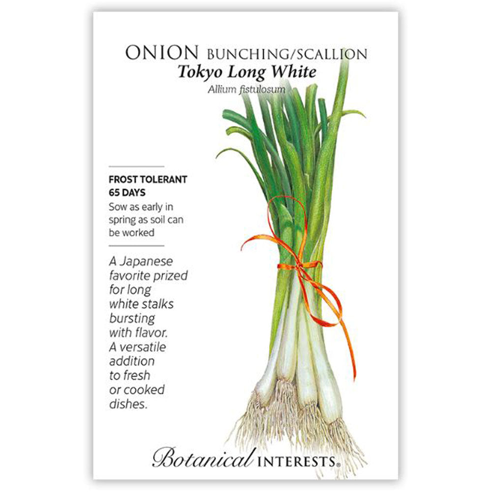 Botanical Interests, Onion, Bunching Tokyo Long White