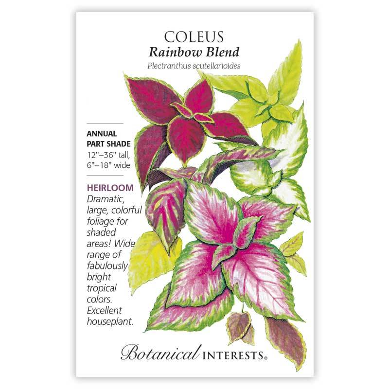 Coleus, Rainbow Blend Botanical Interests Seeds