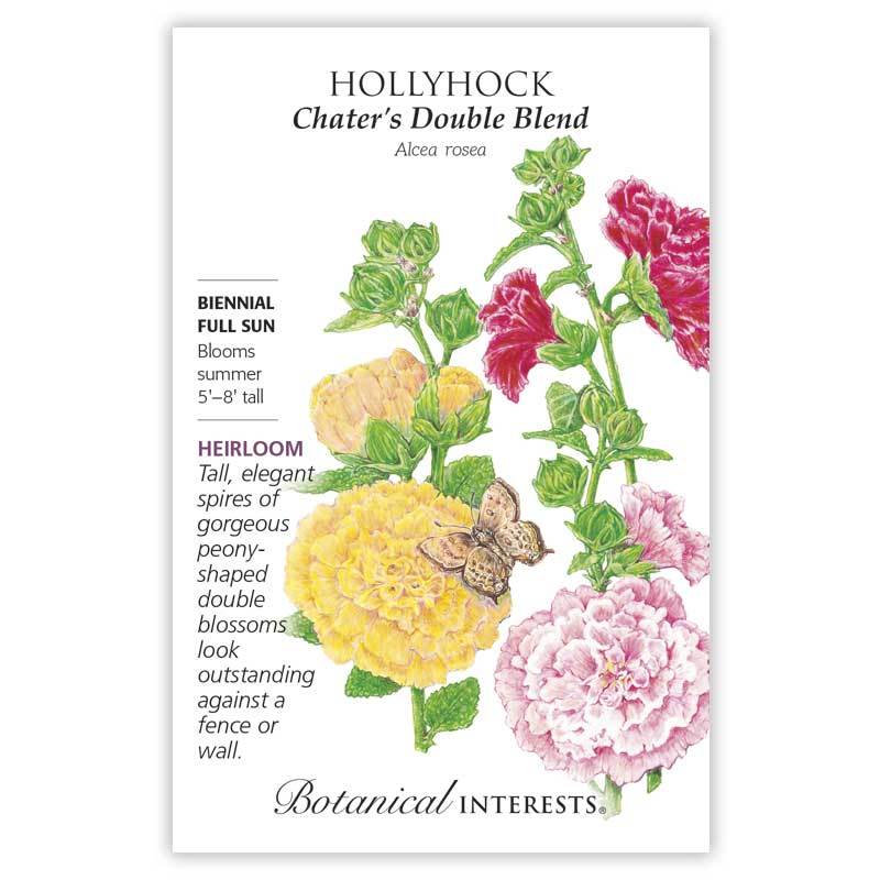 Hollyhock, Botanical Interests Chater's Double Seeds (Heirloom)