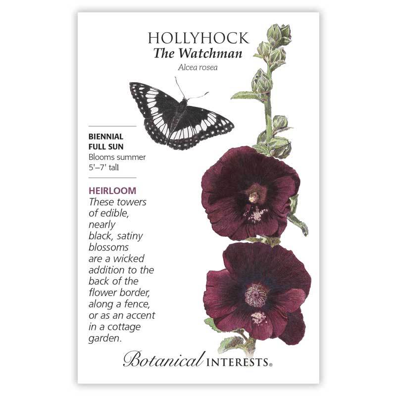 Hollyhock, Botanical Interests The Watchman Seeds (Heirloom)