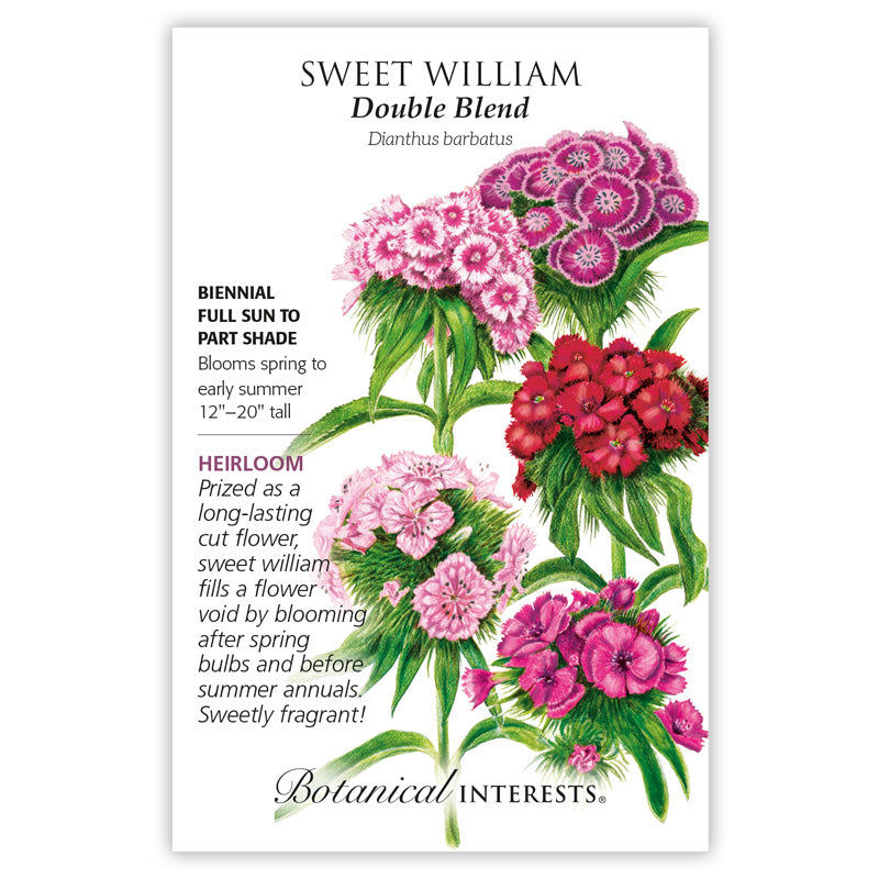 Sweet William, Botanical Interests Double Blend Seeds (Heirloom)