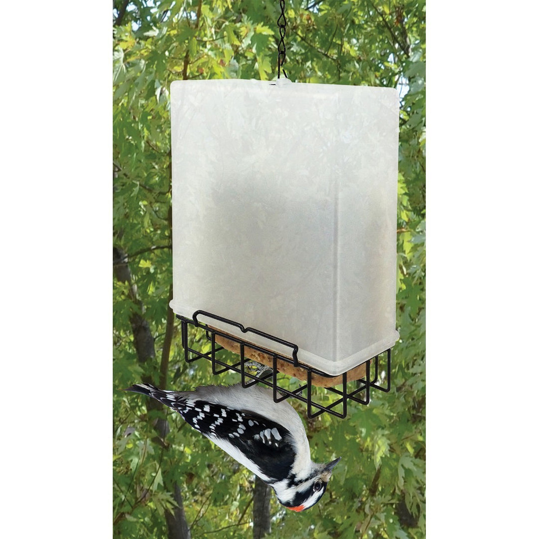 Suet Saver Feeder, 7.5"