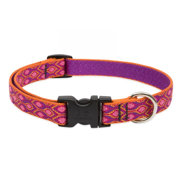 Lupine Dog Collar, 3/4" Wide, 9"-14" Adjustable Neck, Aspen Glow