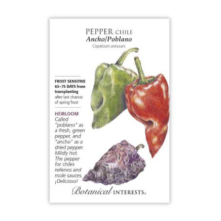 Ancho/Poblano Chile Pepper Botanical Interests Seeds