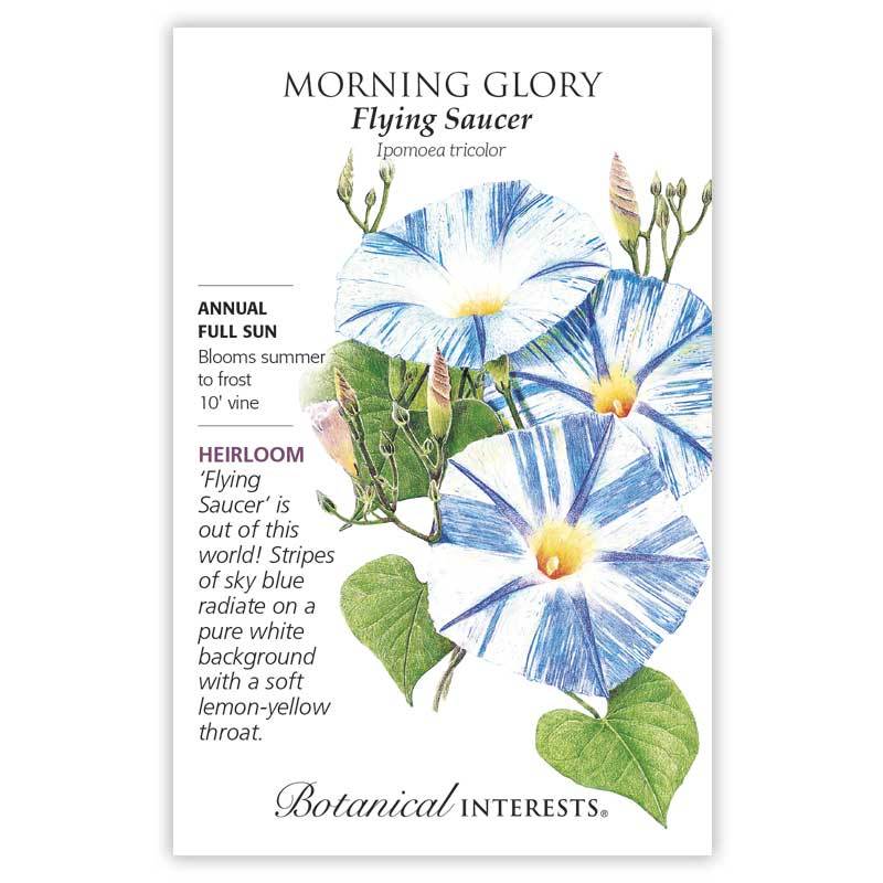 Morning Glory, Botanical Interests Flying Saucer Seeds (Heirloom)