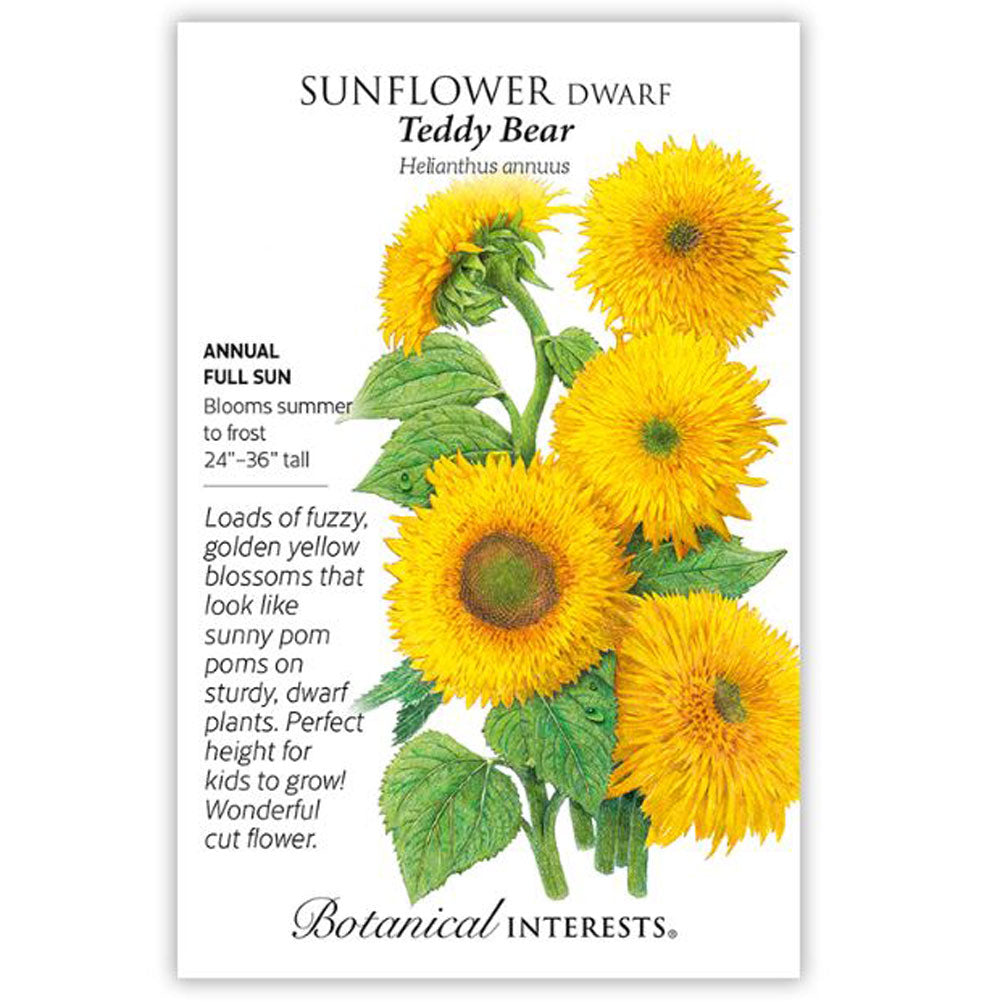 Botanical Interests, Sunflower, DWF Teddy Bear