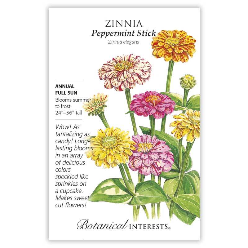 Zinnia, Botanical Interests Peppermint Stick Seeds