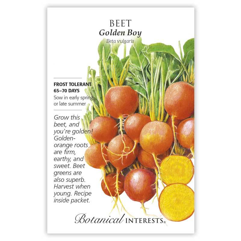 Beet, Botanical Interests Golden Boy Seeds