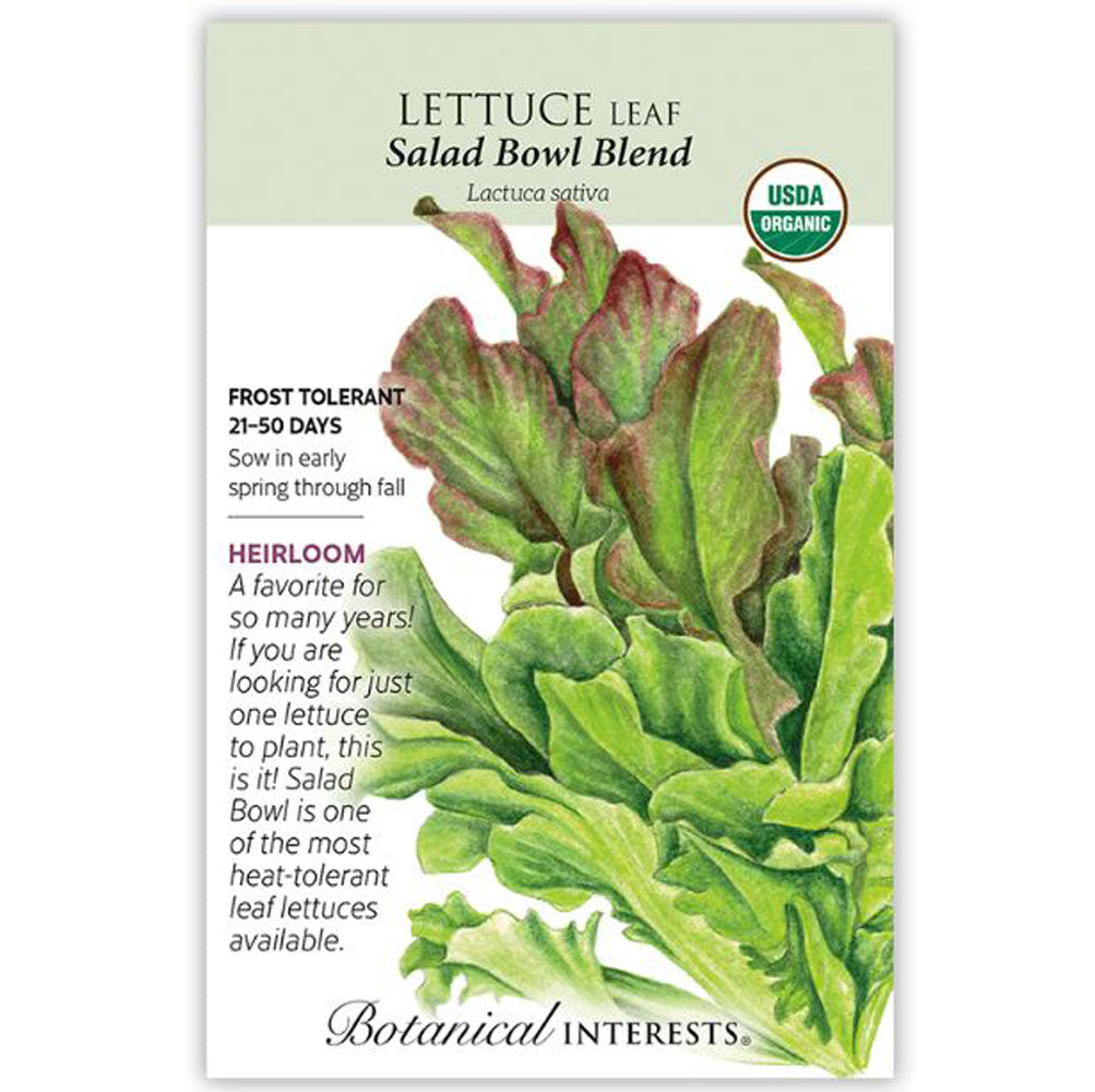 Botanical Interests, Lettuce Leaf, Salad Bowl Blend Organic