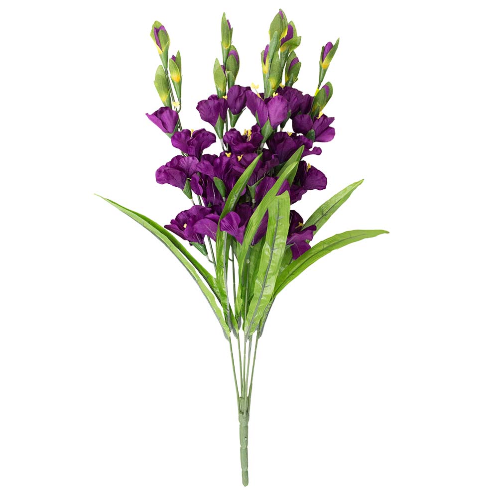 Gladiolus Bush, Purple, 27"