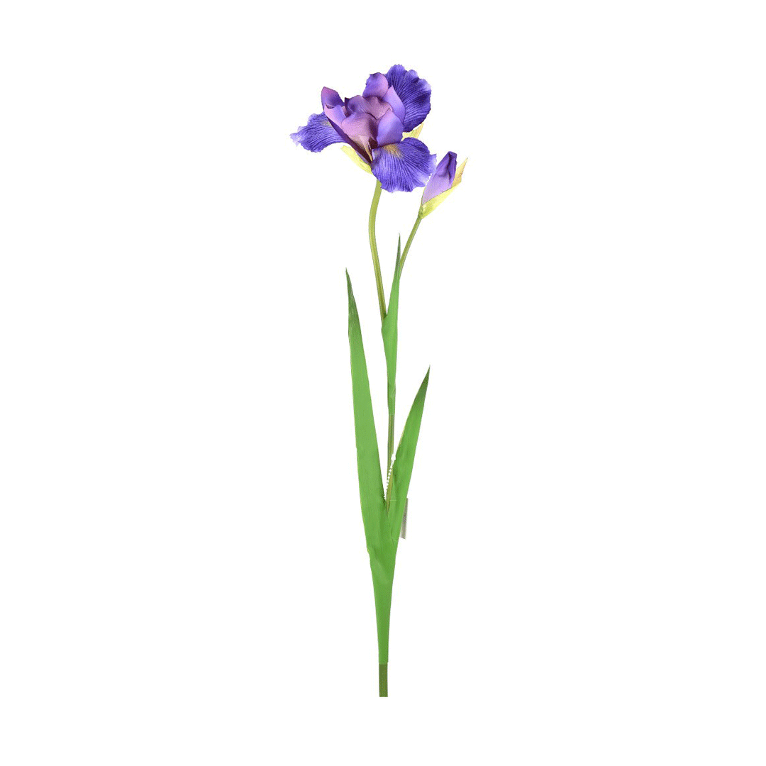 Direct Export Company Dutch Iris Stem, Floral Stem, Lavender, 28"