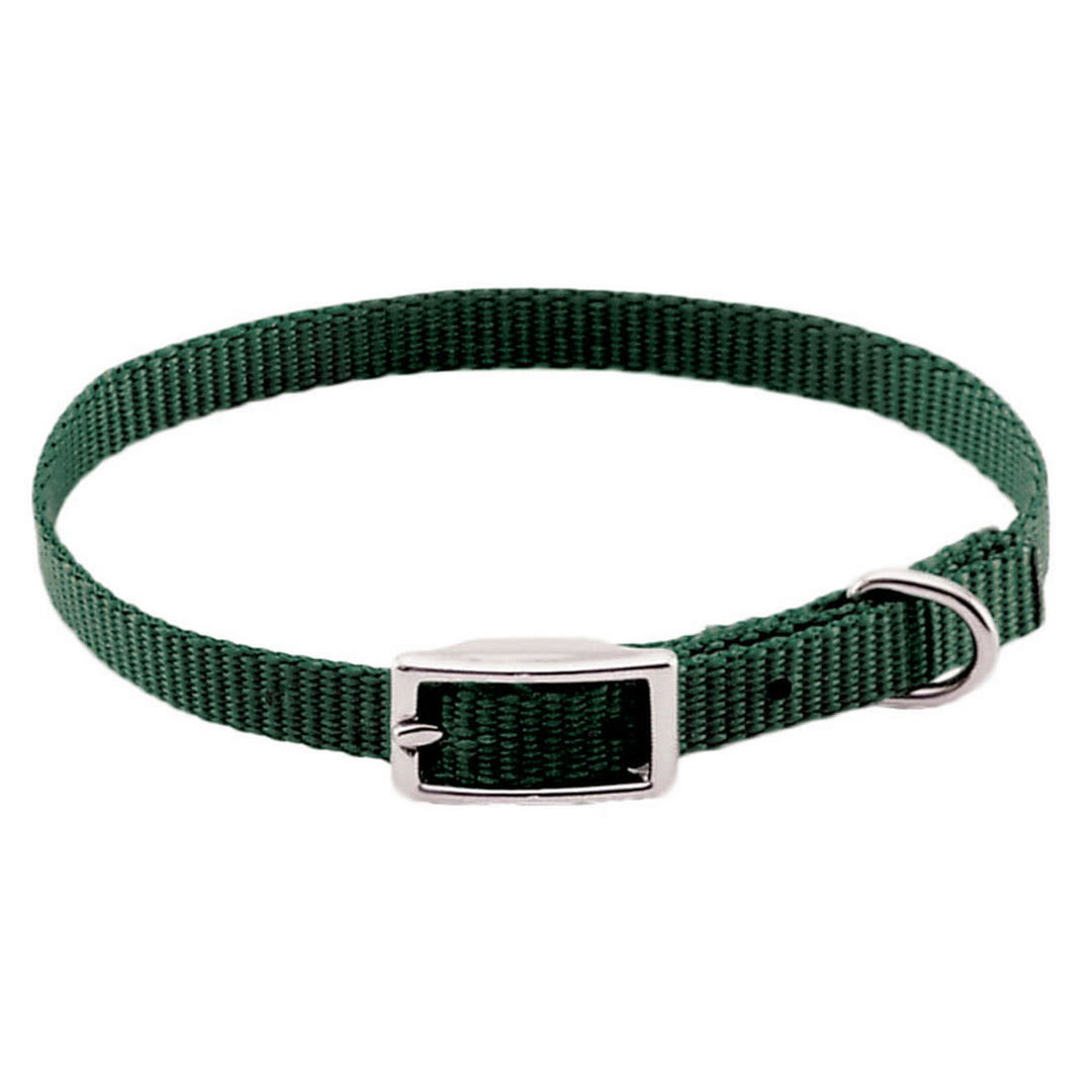 5/8" X 14" Single-Ply Dog Collar, Green