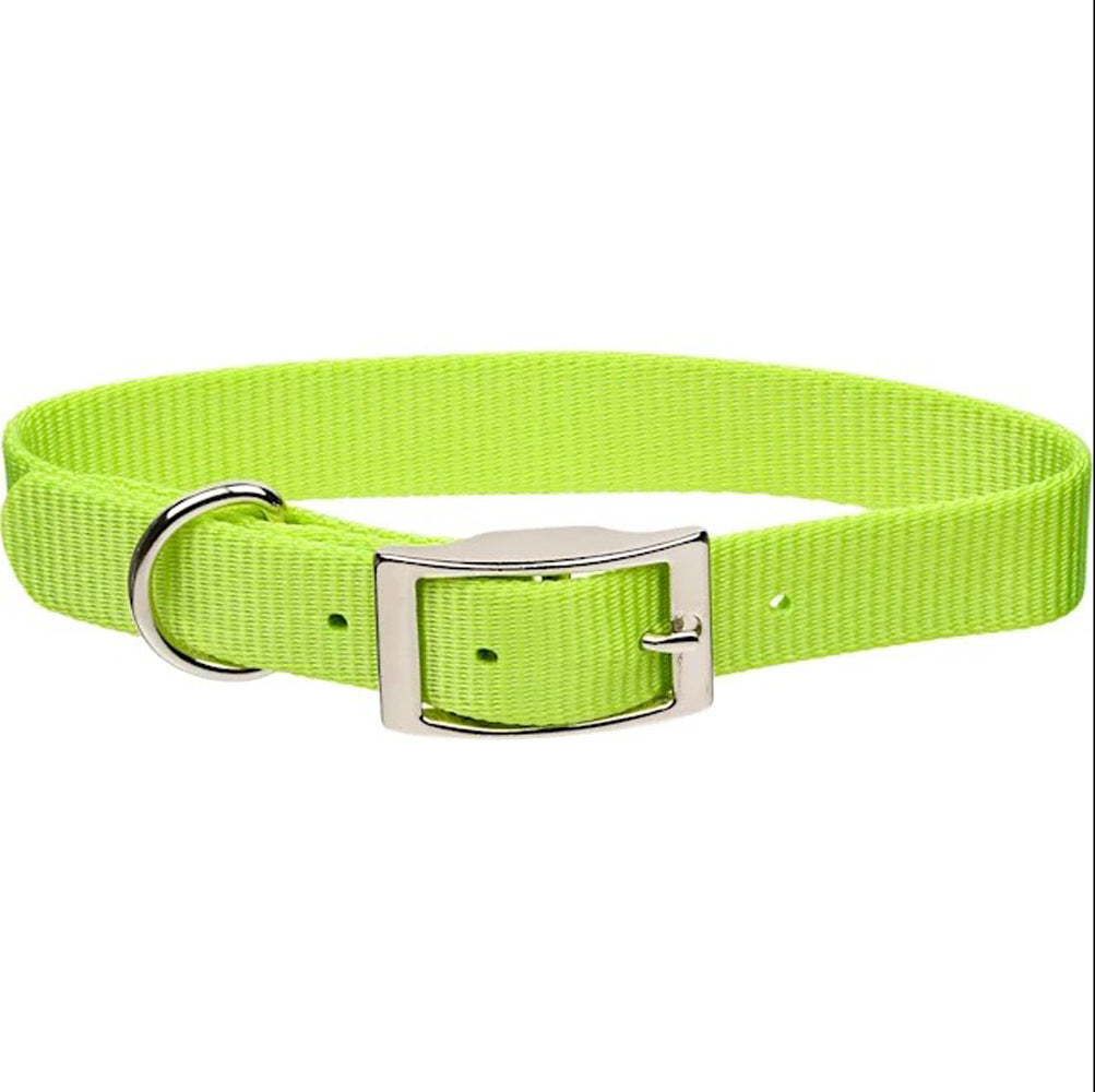 Coastal Pet, Lime Collar, 5/8"