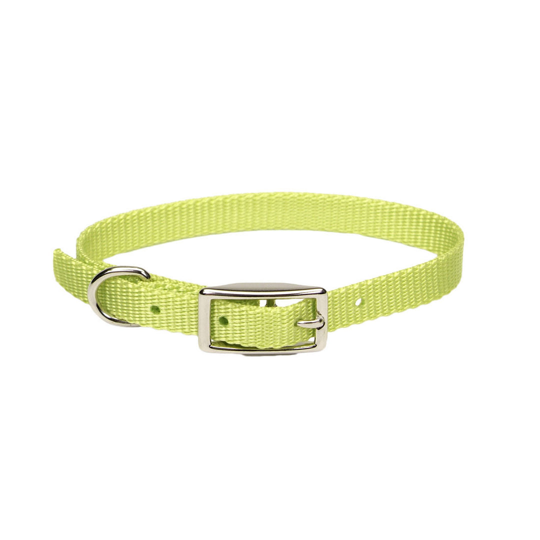 5/8" X 16" Single-Ply Dog Collar, Lime Green