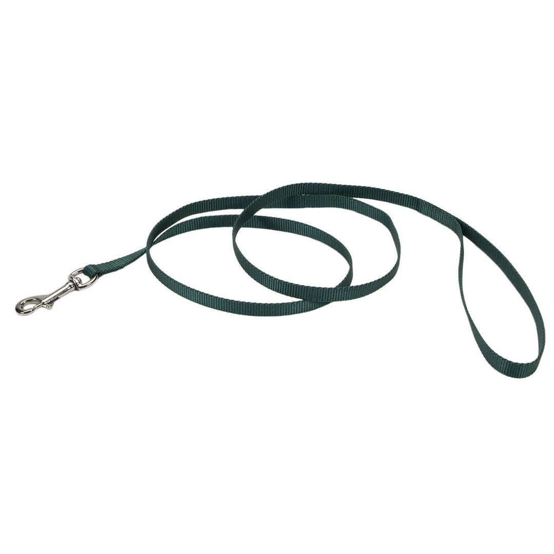 Coastal Single-Ply Dog Lead, Green, 6 ft.