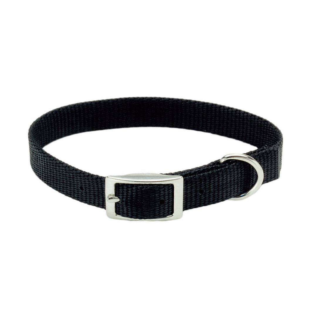 1" Collar, Black