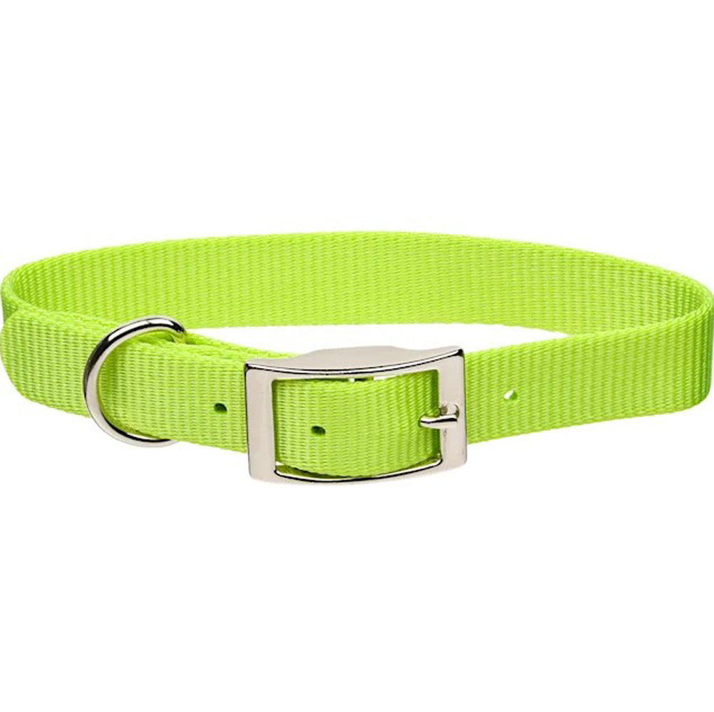 Coastal Pet, Collar Lime, 1"