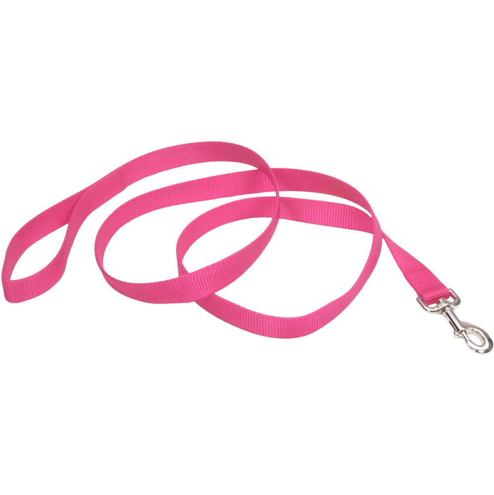 Coastal Pet, Neon Pink Training Lead, 1"