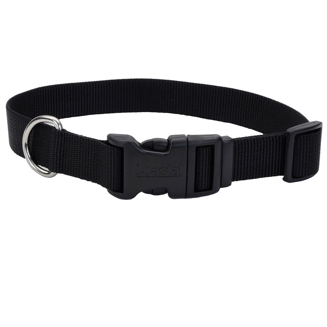 10 - 14" Adjustable Dog Collar w/Plastic Buckle, Black