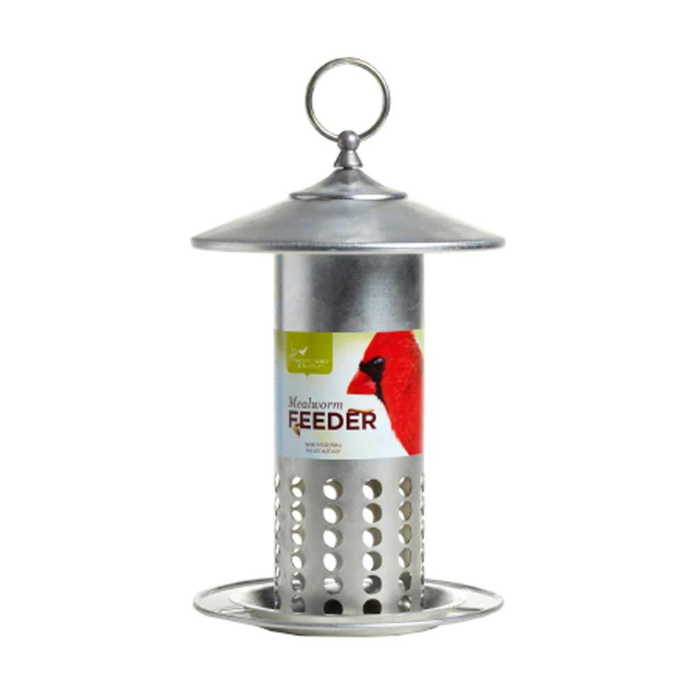 Pacific Bird & Supply, Mealworm Feeder, 11.25"