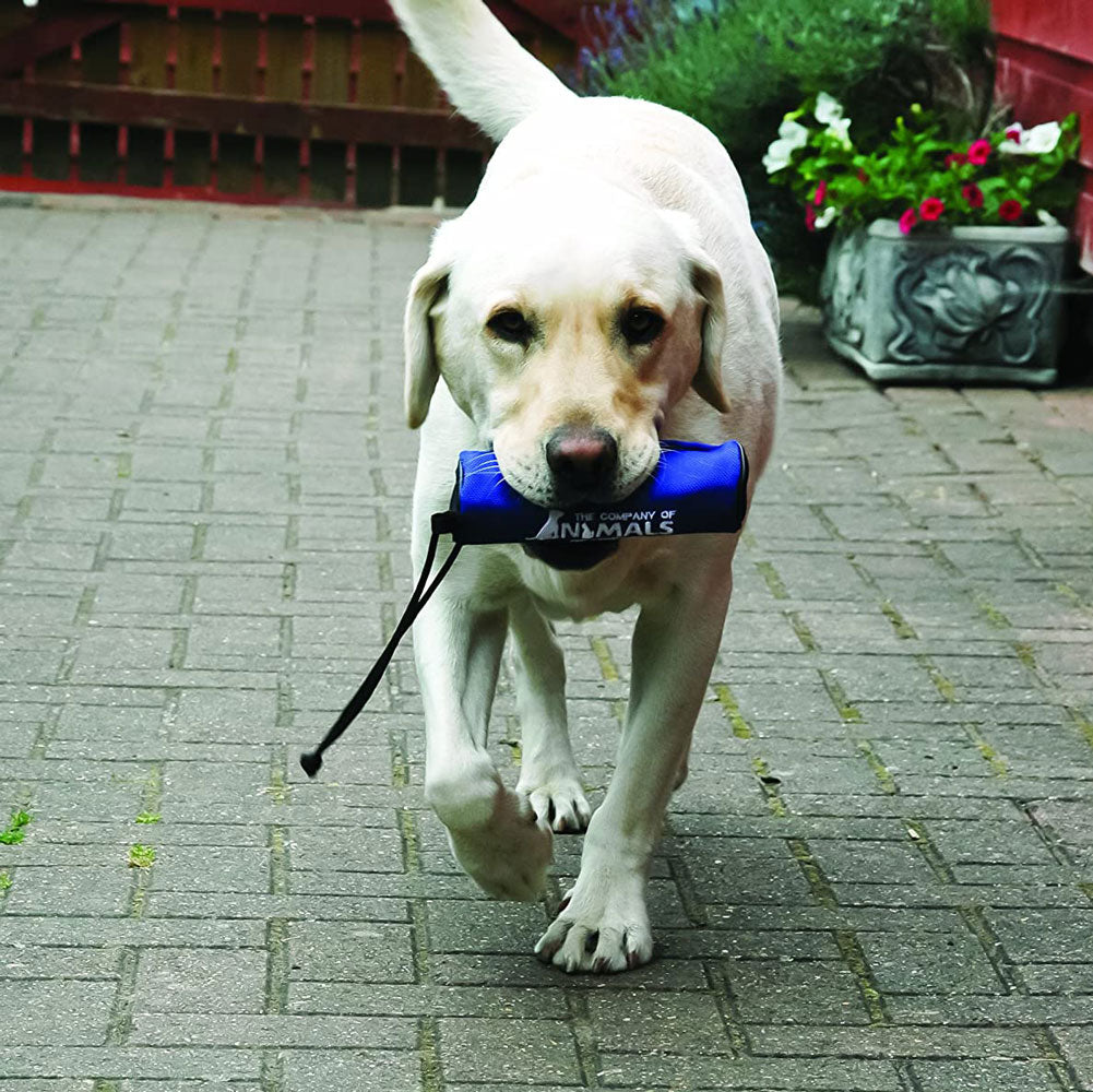 Company of Animals, Clix Retriever, Blue