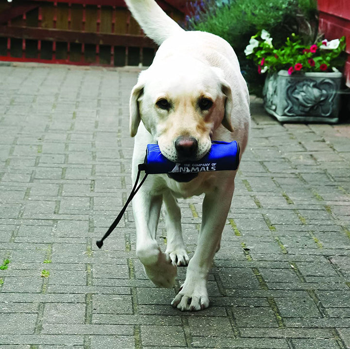 Company of Animals, Clix Retriever, Blue