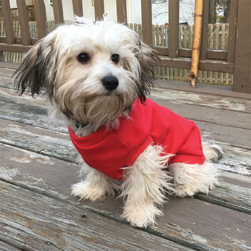 Ethical Pet, Red Sweatshirt, X-Large