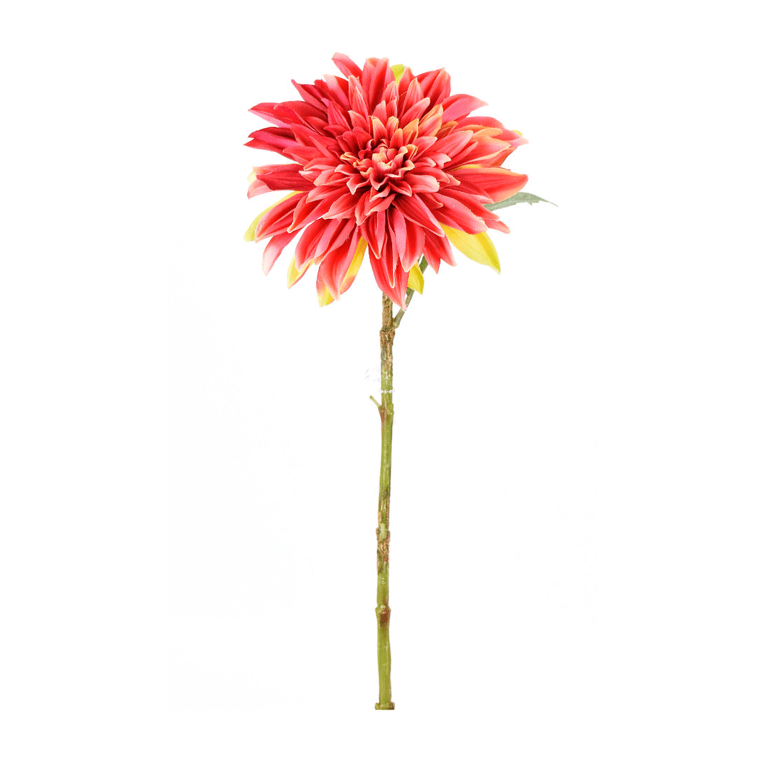 Direct Export Company Dahlia Spray, Floral Stem, Hot Pink, 28"