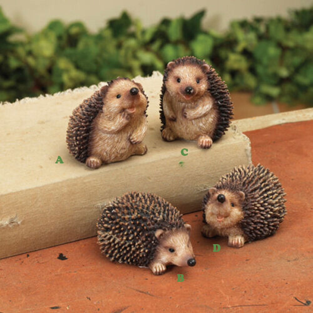 Gerson, Hedgehog Fig, Assorted & Sold Separately