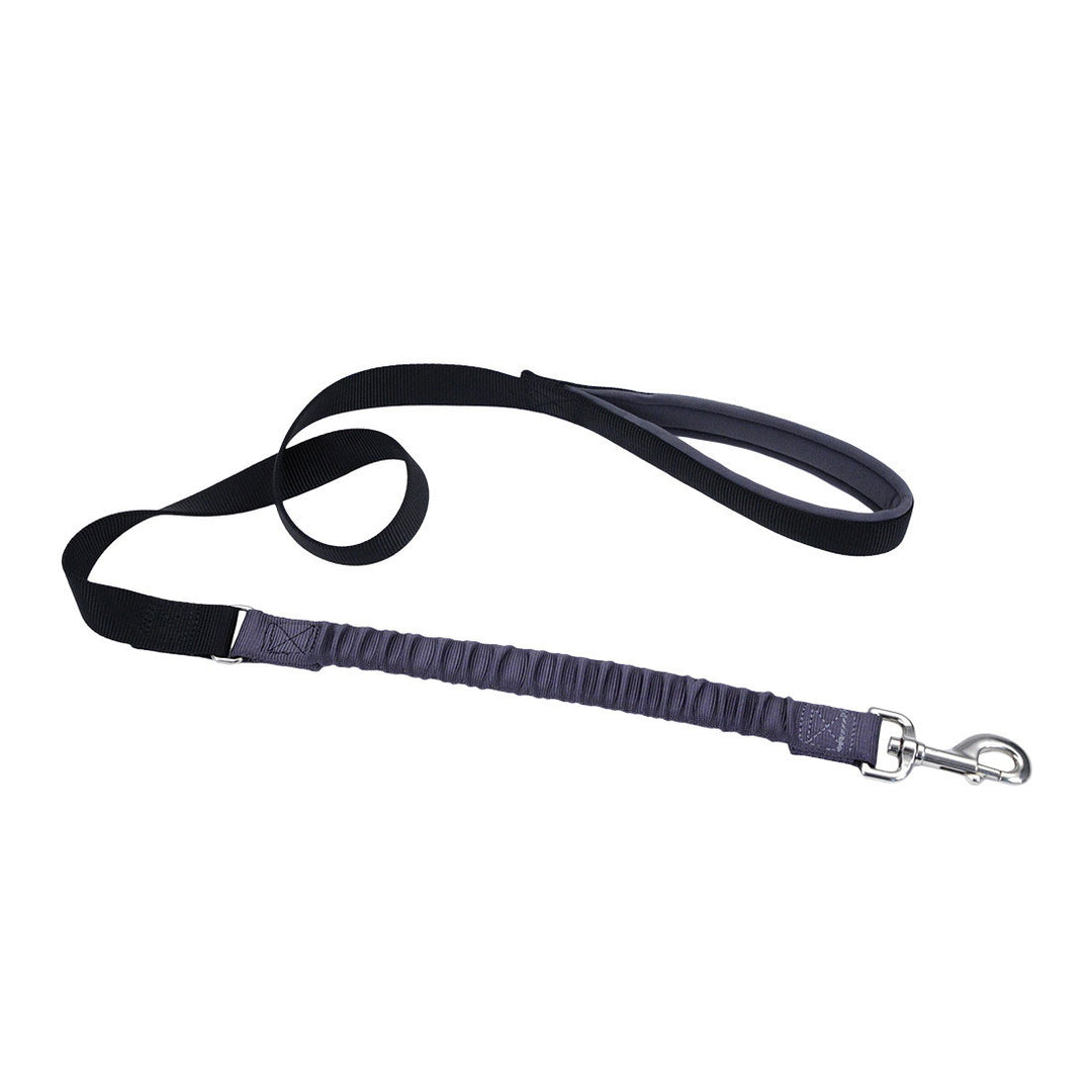 4' Bungee Dog Leash
